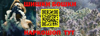 индика Нягань