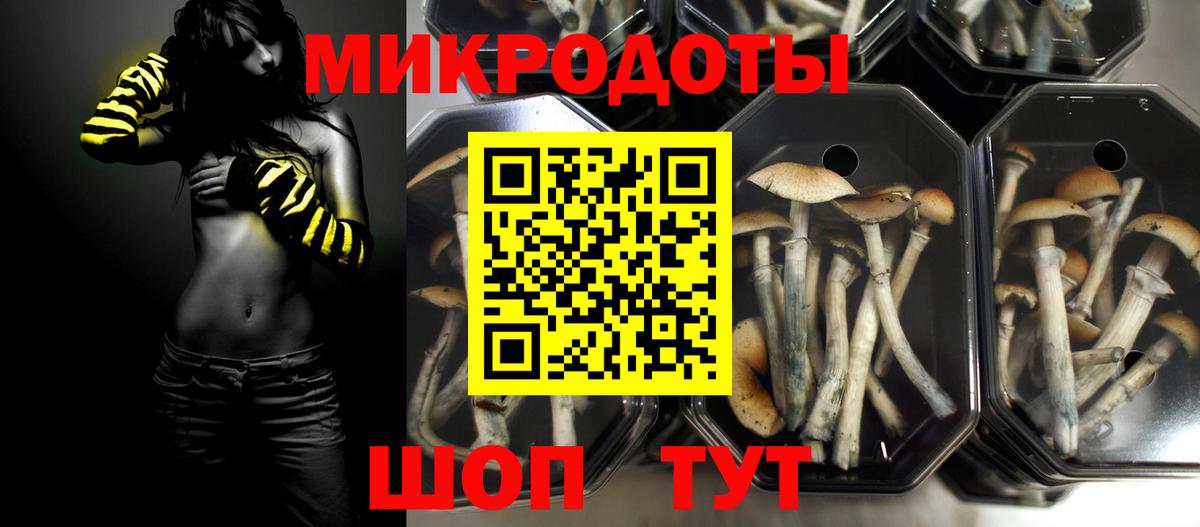 Псилоцибиновые грибы мухоморы Морозовск