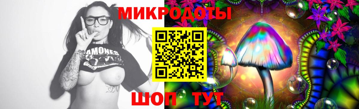 Морозовск  цены   Вход с VPN  Псилоцибиновые грибы GOLDEN TEACHER 